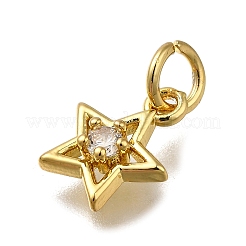 Brass Micro Pave Cubic Zirconia Pendants&nbsp;ZIRC-I070-017G