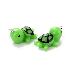 Opaque Resin Pendants&nbsp;LS-RESI-I038-01P