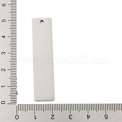 Non-Tarnish 201 Stainless Steel Big Pendants&nbsp;STAS-L079-027A-P