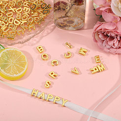 Metal Enlaced Plastic Slide Charms&nbsp;KY-CA0001-61