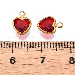 K9 Glass Charms&nbsp;GLAA-T023-11C