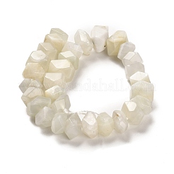 Natural White Moonstone Beads Strands&nbsp;G-N327-05-04
