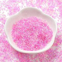Transparent Colours Glass Seed Beads&nbsp;SEED-H003-01L
