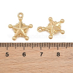 Alloy Pendants&nbsp;AL-CBAD42D-01G