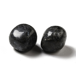 Natural Larvikite Beads&nbsp;G-G979-A14