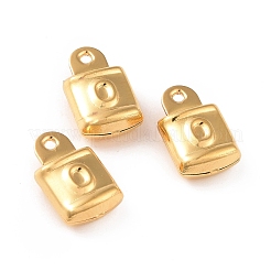 304 Stainless Steel Pendants&nbsp;STAS-D243-13G