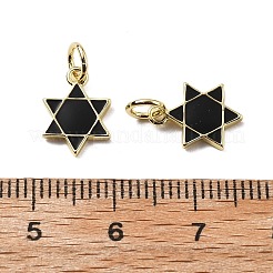 Brass Enamel Charms&nbsp;KK-Z114-13G