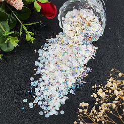 120G 6 Colors PET Nail Art Sequins Decoration Accessories&nbsp;MRMJ-DC0001-12
