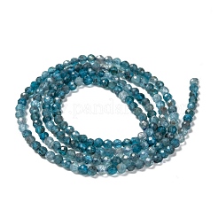 Natural Apatite Beads Strands&nbsp;G-K185-02