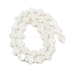 Natural Freshwater Shell Beads Strands&nbsp;SHEL-K010-02B