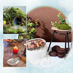Natural Paua Shell Display Decorations&nbsp;DJEW-WH0042-148A