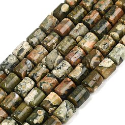 Natural Rhyolite Jasper Beads Strands&nbsp;G-S396-03B