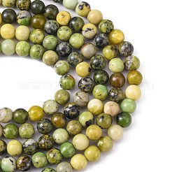 Natural Serpentine Beads Strands&nbsp;G-N166-4