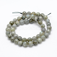 Natural Labradorite Beads Strands&nbsp;G-P322-28-8mm