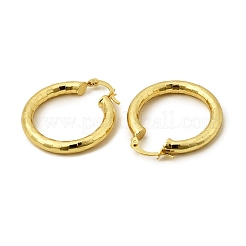 Brass Hoop Earring&nbsp;EJEW-P265-01G