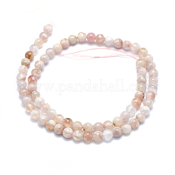 Natural Cherry Blossom Agate Beads Strands&nbsp;G-I213-23-6mm