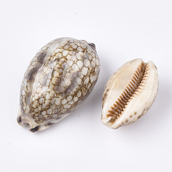 Cowrie Shell Beads&nbsp;SSHEL-S258-59A