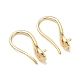 Brass Earring Hooks&nbsp;KK-B072-06G-1