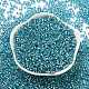 Glass Seed Beads&nbsp;SEED-S042-04A-13-2