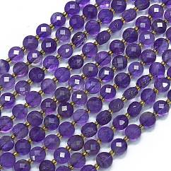 Natural Amethyst Beads Strands, with Seed Beads, Faceted Coin Beads, Flat Round, 6~6.5x4mm, Hole: 1mm, about 50pcs/strand, 15.35''(39cm)
