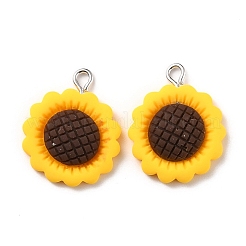 Resin Pendants&nbsp;LS-X-RESI-C002-27