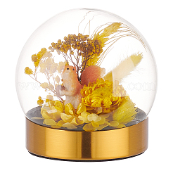Glass Dome Cover&nbsp;DJEW-WH0015-102B