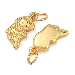 Brass Charms&nbsp;KK-F941-11G