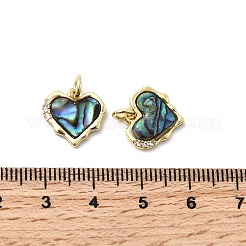 Brass Micro Pave Cubic Zirconia Pendants&nbsp;KK-K384-23B-G