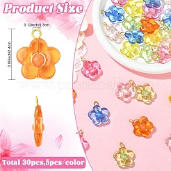 30Pcs 6 Colors Acrylic with Cat Eye Bead Pendants&nbsp;PALLOY-YW00190
