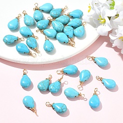 30Pcs Dyed Synthetic Turquoise Pendants&nbsp;PALLOY-YW00132