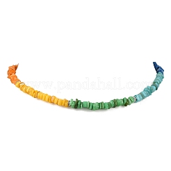 Dyed Natural Freshwater Shell Nuggets Beaded Chakra Necklaces&nbsp;NJEW-JN05486