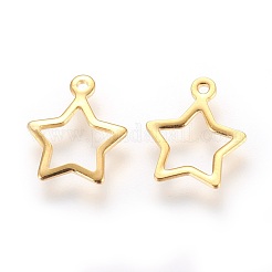 304 Stainless Steel Charms&nbsp;STAS-P227-21G