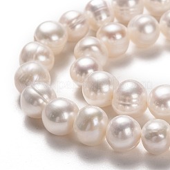 Natural Cultured Freshwater Pearl Beads Strands&nbsp;PEAR-L033-18-01