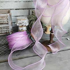 1Bag Organza Ribbon&nbsp;ORIB-CY0001-04B