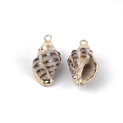 Electroplate Spiral Shell Pendants&nbsp;X-SSHEL-S261-09