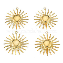 Ion Plating(IP) 304 Stainless Steel Pendants&nbsp;STAS-N098-205LG