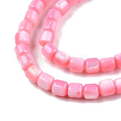 Natural Freshwater Shell Beads Strands&nbsp;X-SHEL-N003-33-A09