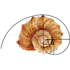 2Pcs 2 Styles Golden Ratio Plastic Fibonacci Composition View Finder&nbsp;AJEW-DR0001-86