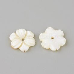 Natural Freshwater Shell Beads&nbsp;SHEL-Q008-53