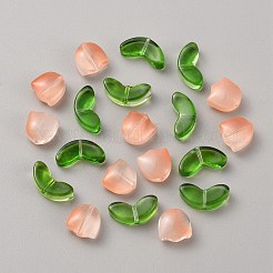 Handmade Lampwork Beads&nbsp;LAMP-TAC0004-04C