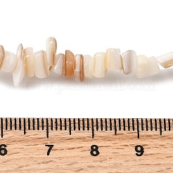 Natural Freshwater Shell Beads Strands&nbsp;SHEL-B003-03