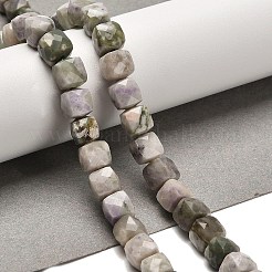 Natural Peace Jade Beads Strands&nbsp;G-H078-C10-01