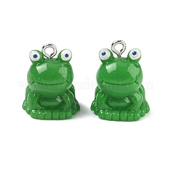 Opaque Resin Pendants&nbsp;RESI-A051-01P
