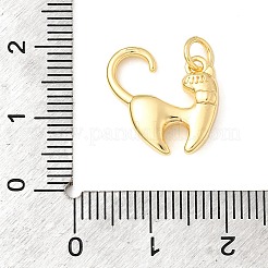 Brass Charms&nbsp;KK-I364-02G-05