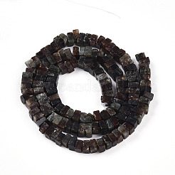 Natural Biotite Beads Strands&nbsp;G-T140-54