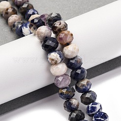 Natural Sodalite Beads Strands&nbsp;G-K380-A09-01