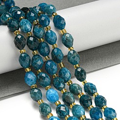 Natural Apatite Beads Strands&nbsp;G-N342-48