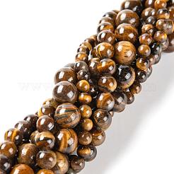 3 Strands 3 Sizes 4mm 6mm 8mm Grade AB Natural Tiger Eye Round Beads Strands&nbsp;G-FS0001-20