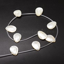 Natural Trochid Shell/Trochus Shell Beads Strands&nbsp;SSHEL-K009-12