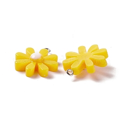 Opaque Resin Pendants&nbsp;RESI-G046-21P